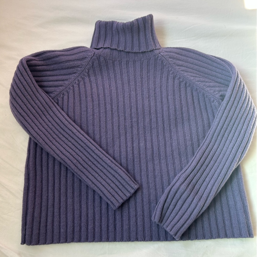 Banana Republic purple turtleneck